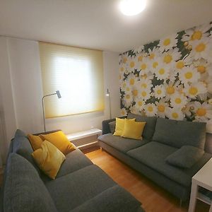 Ferienwohnung Rheinblick Koblenz